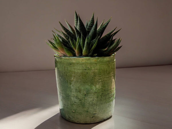 Tamegroute Planter/Pot